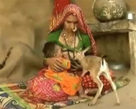 Mothers breastfeed orphaned deer as part of religion in India.